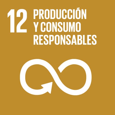 ODS 12 Produccion y Consumo Responsables